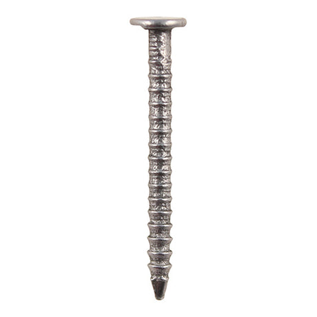 Annular Ringshank - Bright - Nails