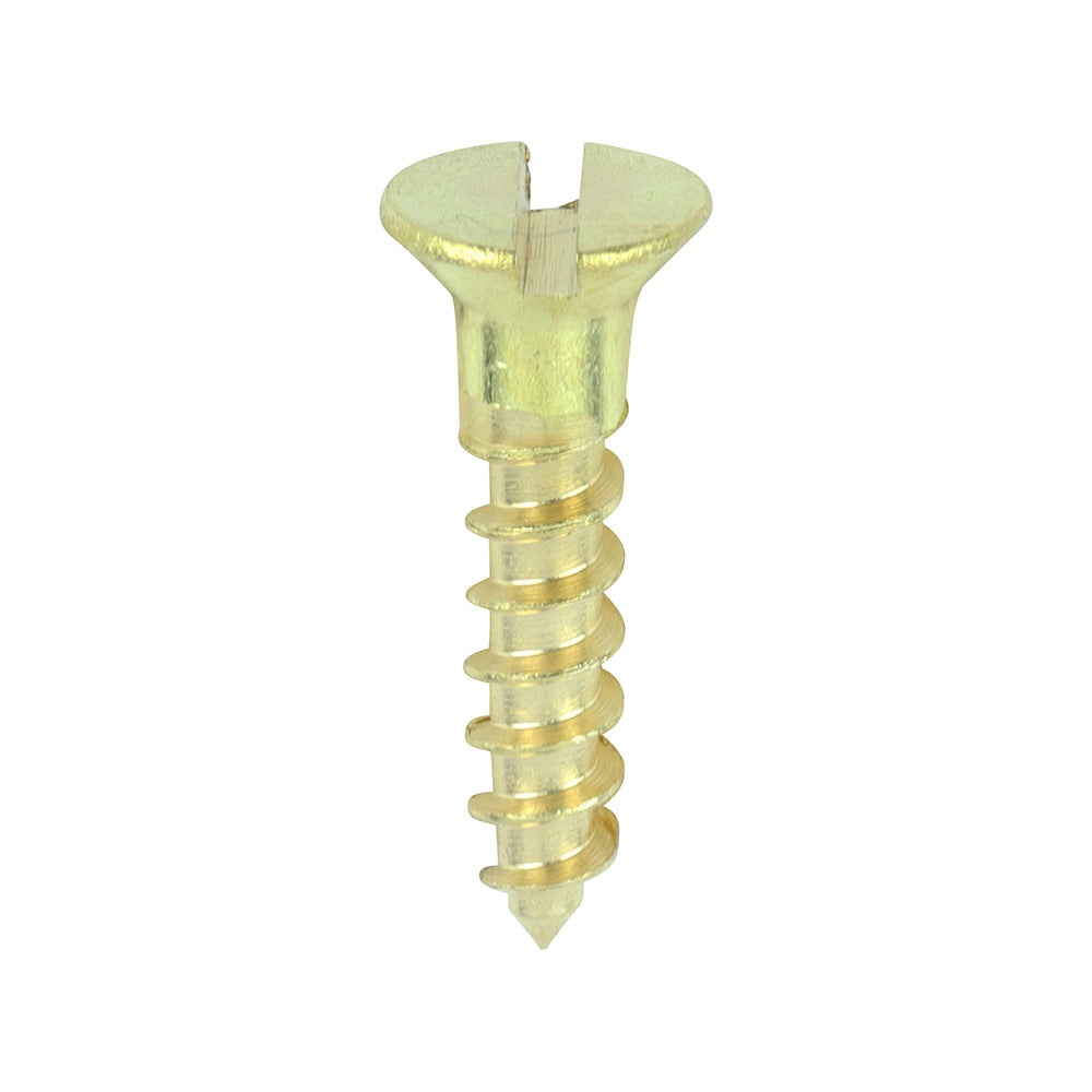 8 x 3/4 - Brass Timber Screw SLOT CSK