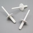 Blind Rivet, White