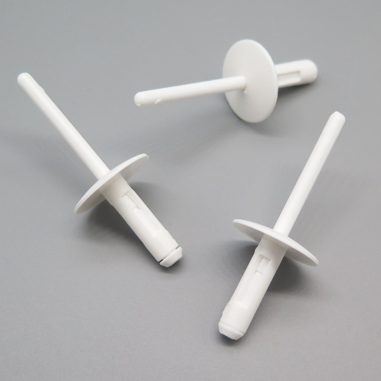 Blind Rivet, White