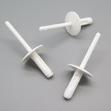 Blind Rivet, White