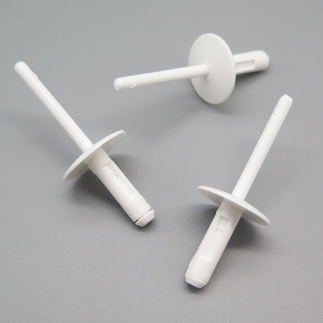 Blind Rivet, White