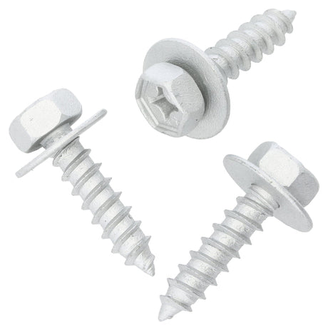 Body Screw
