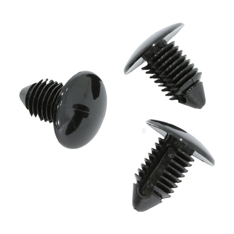 Fir Tree Clip