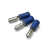 Blue - Electrical Terminals - Assortment
