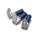 Blue - Electrical Terminals - Assortment