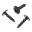 Body Screw, Black