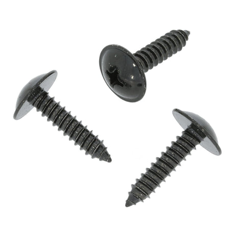 Body Screw, Black
