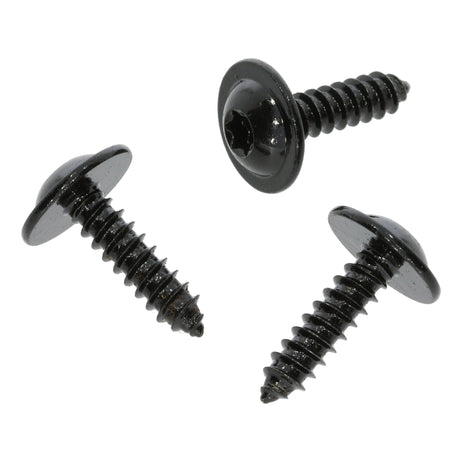 Torx Screw, 4.2 x 16mm