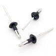Blind Rivet, Black Collar