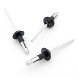 Blind Rivet, Black Collar