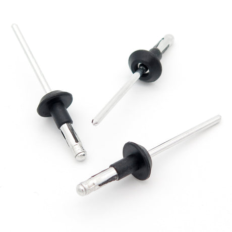 Blind Rivet, Black Collar