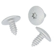 Metal Screw, Torx Head