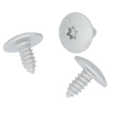 Metal Screw, Torx Head