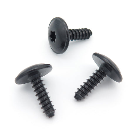 Metal Torx Headed Screw, Black