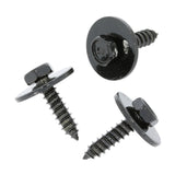 SEM Screw with Washer
